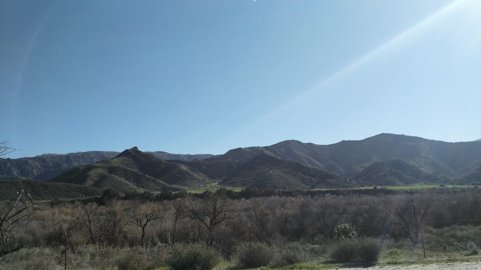 Newhall Orchards apple orchard in Piru, California