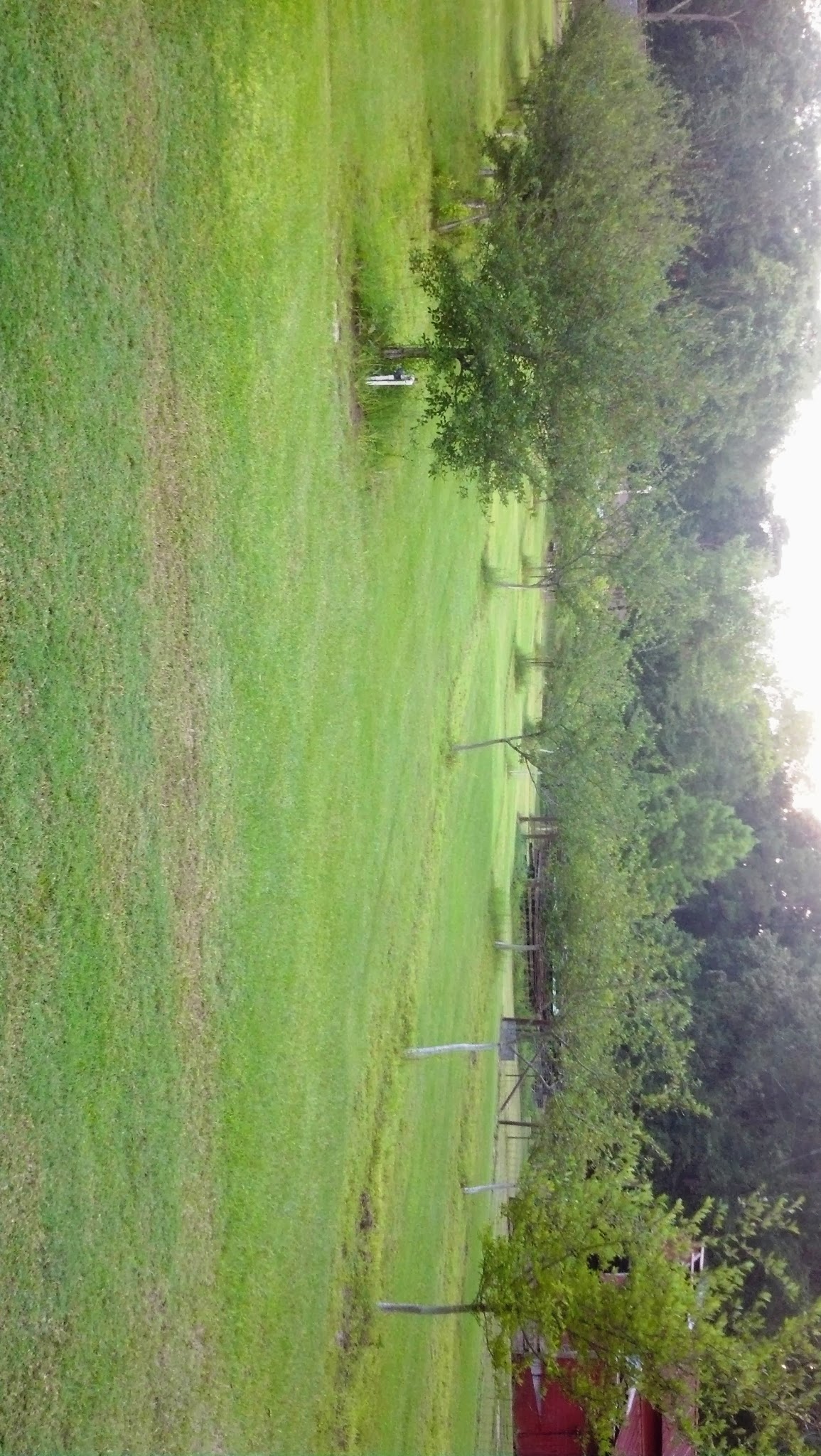 Paul's Mayhaw Orchard apple orchard in El Dorado, Arkansas