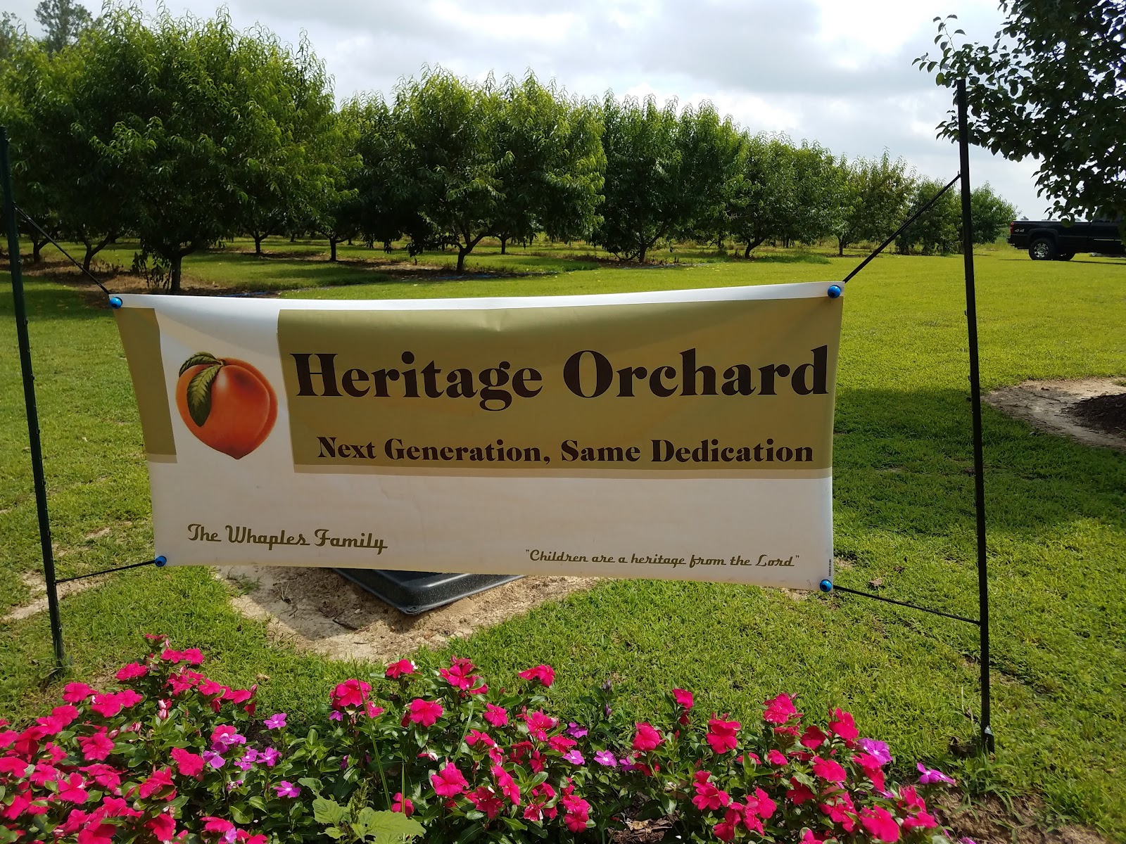 Heritage Orchard apple orchard in Preston, Maryland