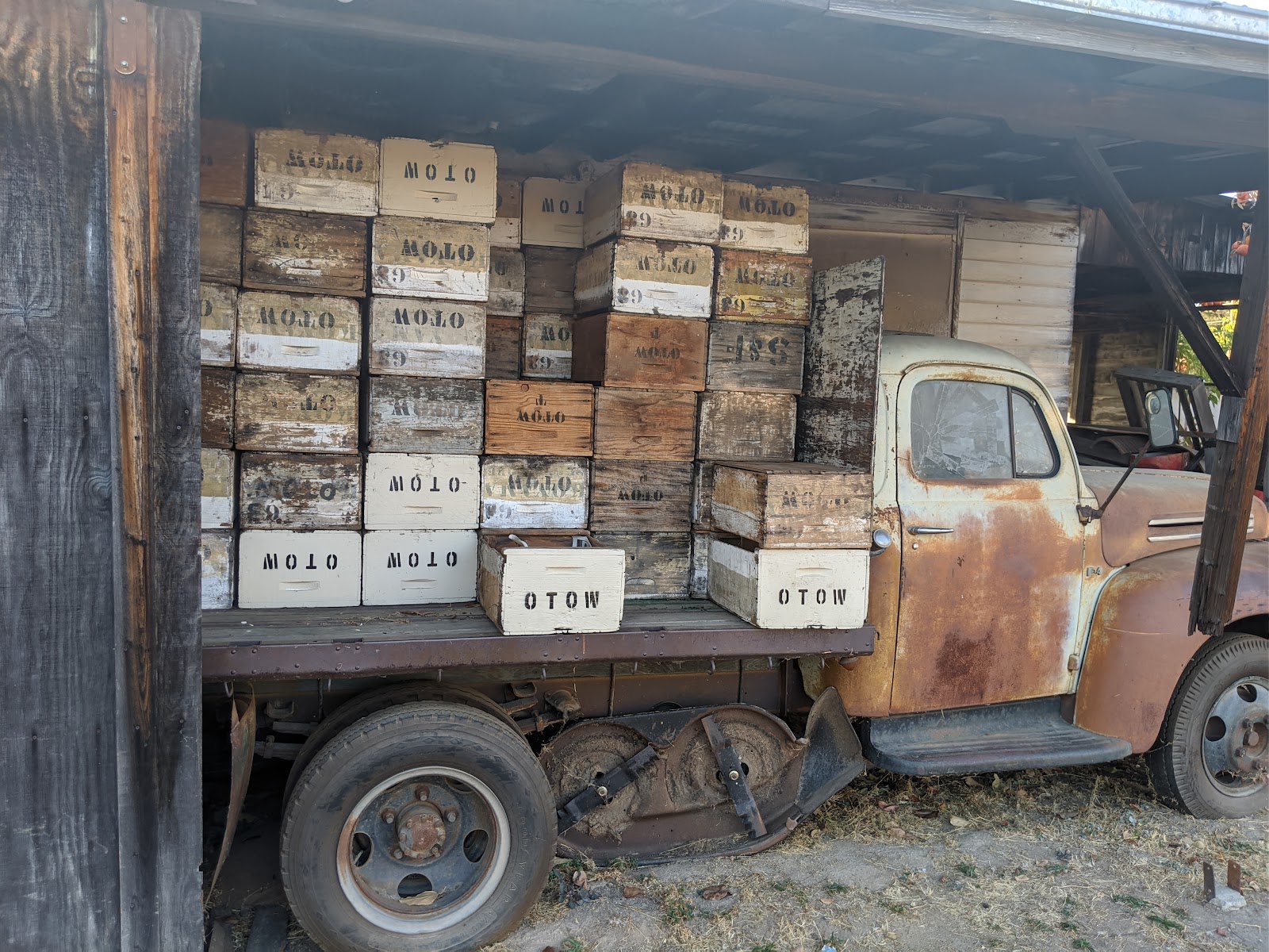 Otow Orchard apple orchard in Granite Bay, California