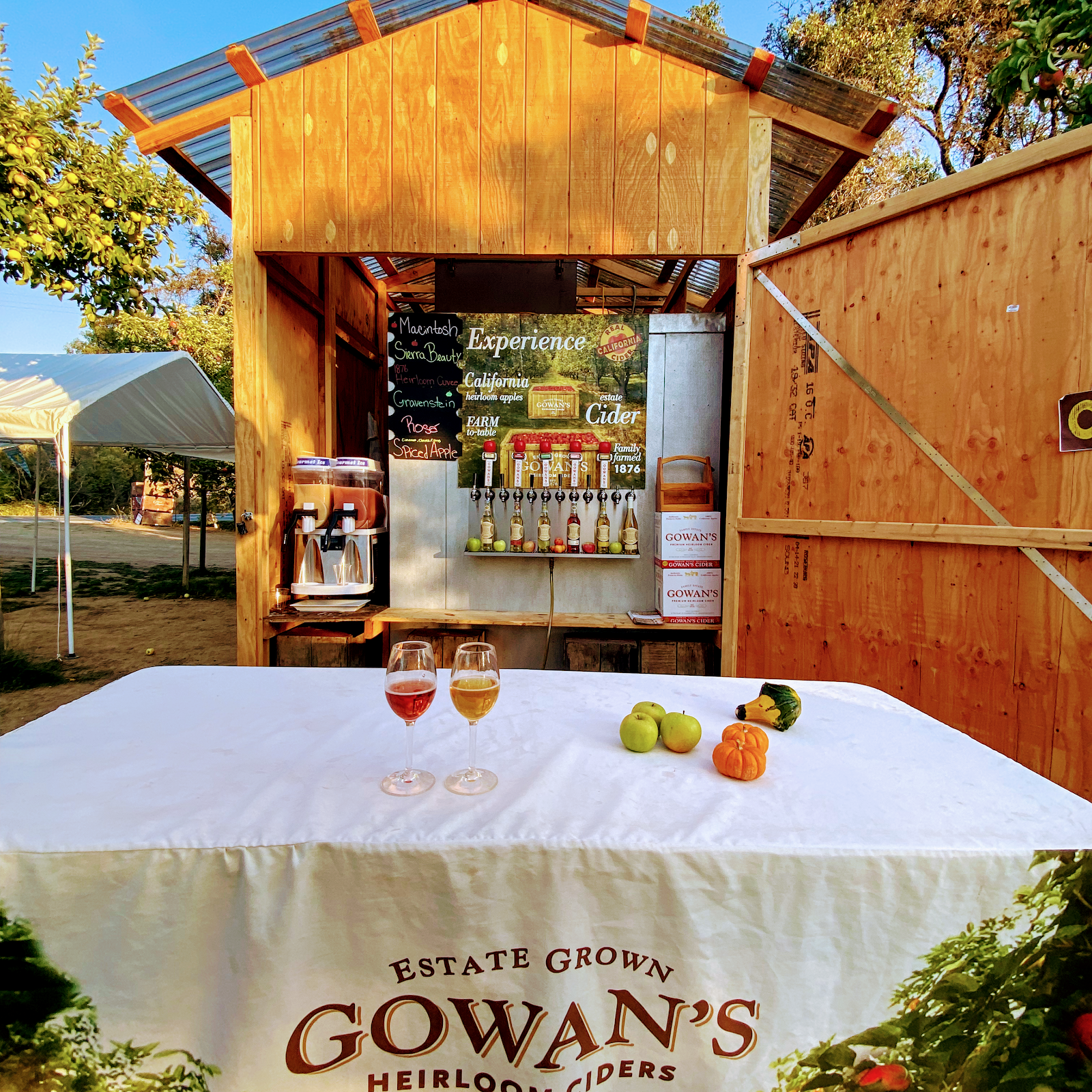 Gowan's Cider Garden apple orchard in Philo, California