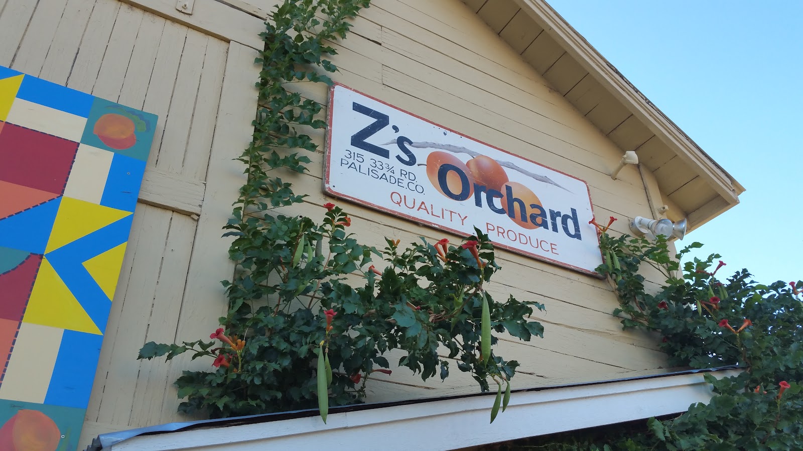Z's Orchard apple orchard in Palisade, Colorado