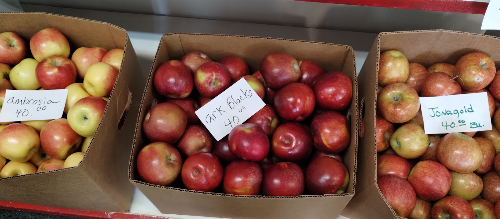 Friend Orchard apple orchard in Harrison, Arkansas