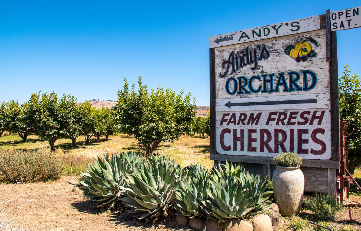 Andy's Orchard apple orchard in Morgan Hill, California